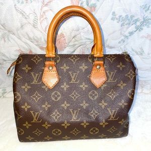 Louis Vuitton Speedy 25 Monogram Bag